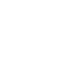 developer